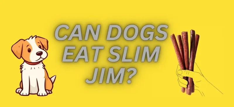 CAN DOGS EAT SLIM JIM