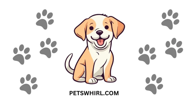 CUTE DOG ANIMATION