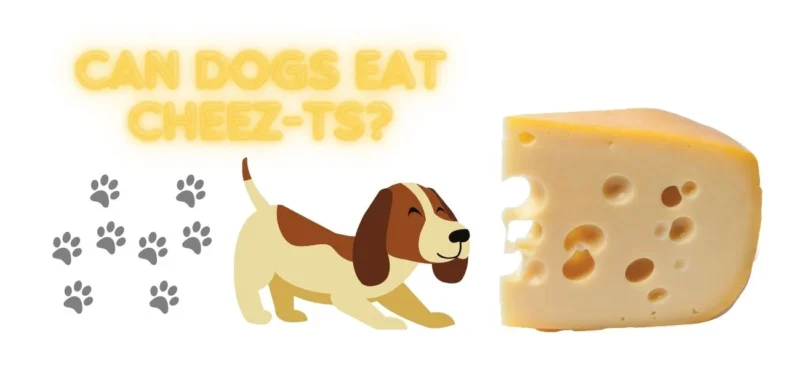 Can dogs eat cheez-its?